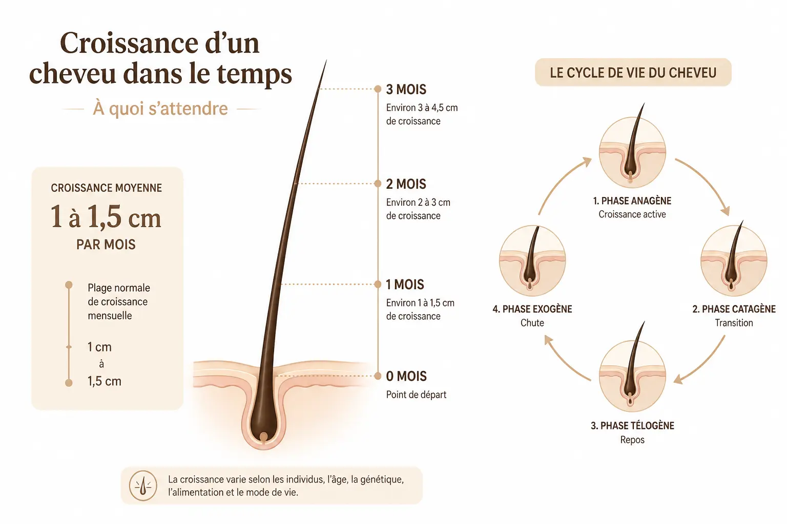 Ce que la pousse des cheveux permet vraiment d’espérer