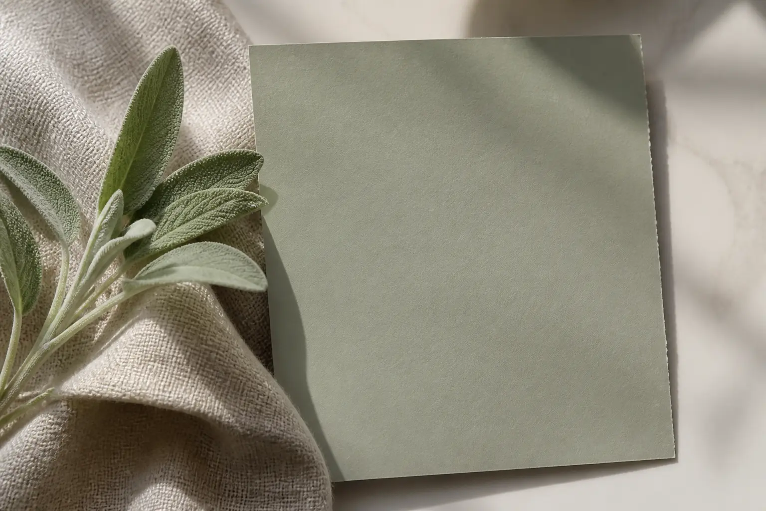 Nuancier sage green avec feuille de sauge et tissu neutre sur fond clair, lumière naturelle.